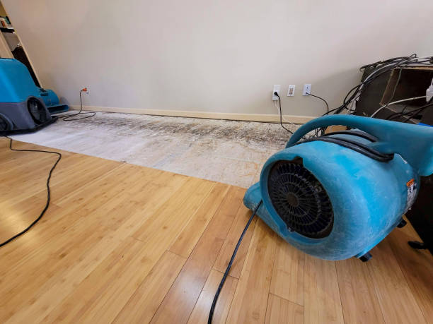 Professional Sewage Cleanup technician working in Grafton, WI